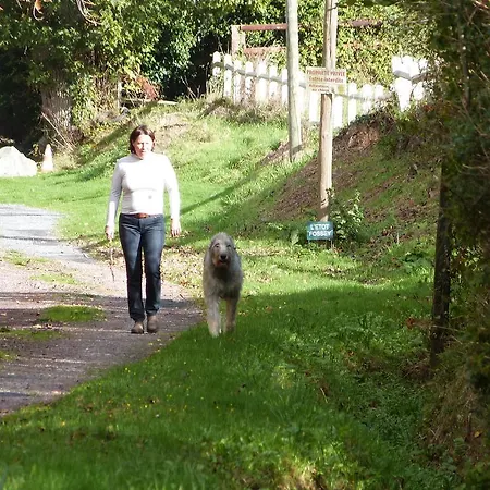 Casa de Férias De L'etot Fossey *