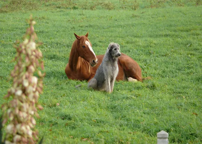 Feriehus De L'etot Fossey Marchésieux