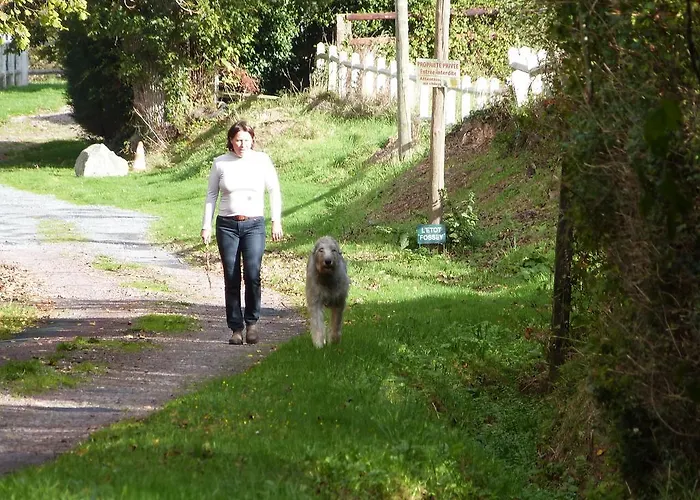 Feriehus De L'etot Fossey *